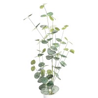 Zweig"Eukalyptus"grün/helllgrün/weiss